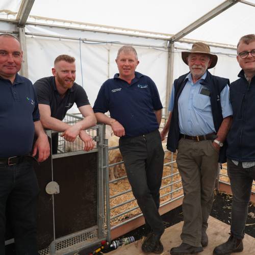 Caernarfon Food Festival