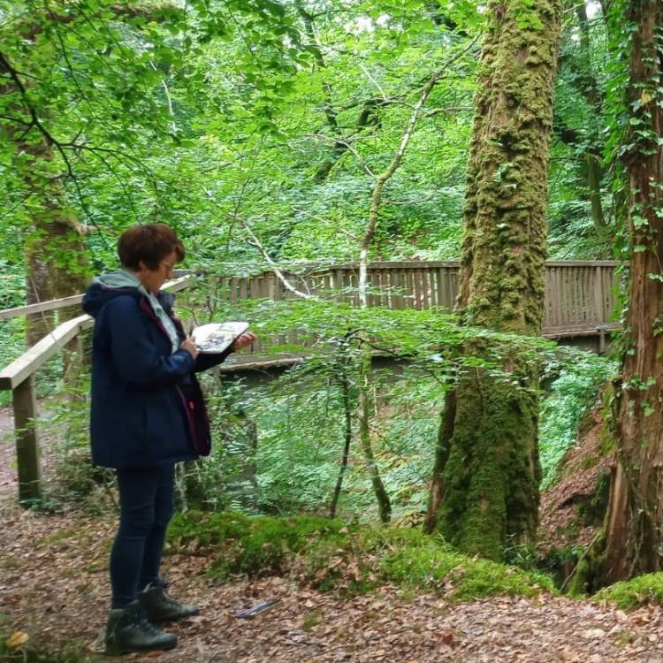 Myfyrwraig Anne Butler yn braslunio