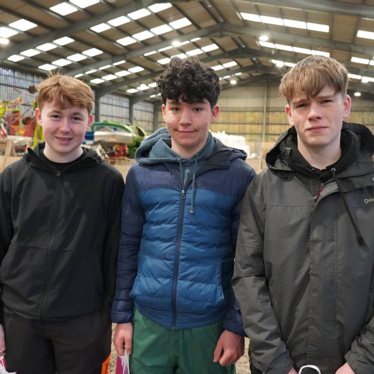 School students at Glynllifon for a Royal Forestry Society careers fair
